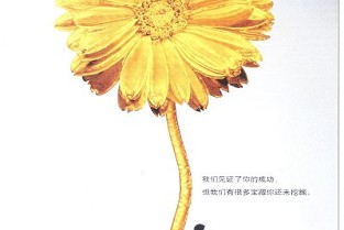 四川二手房 时尚广场