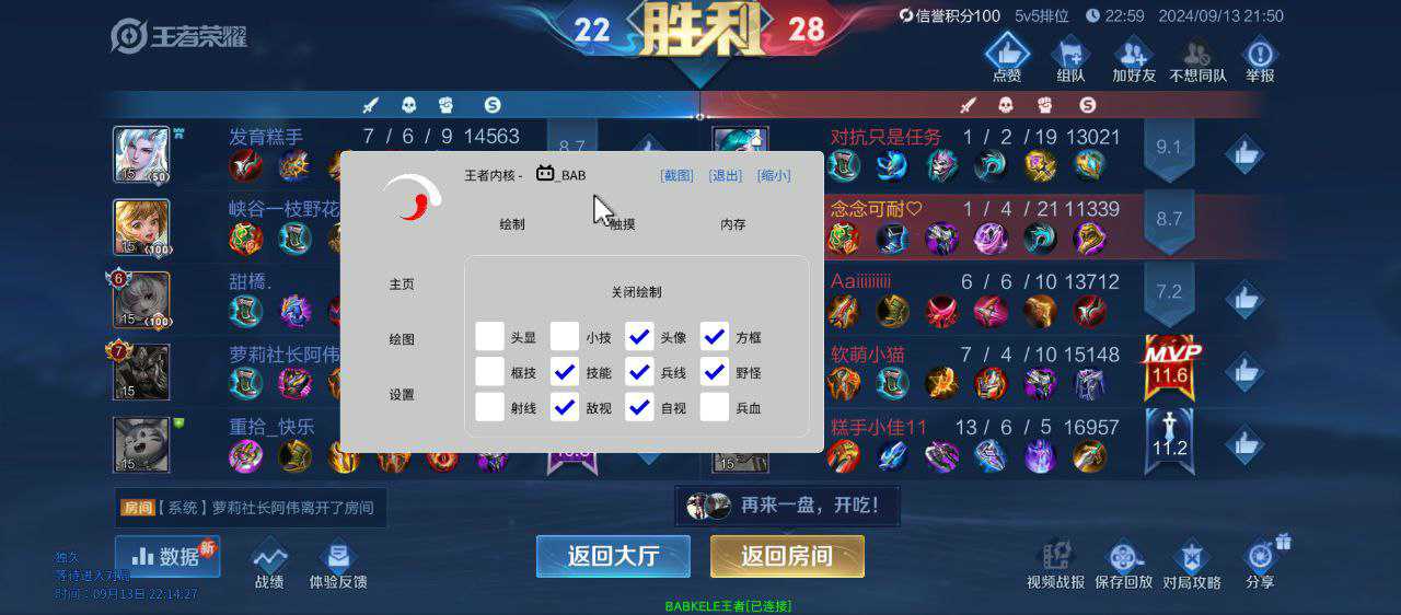 王者荣耀「TS终端」辅助